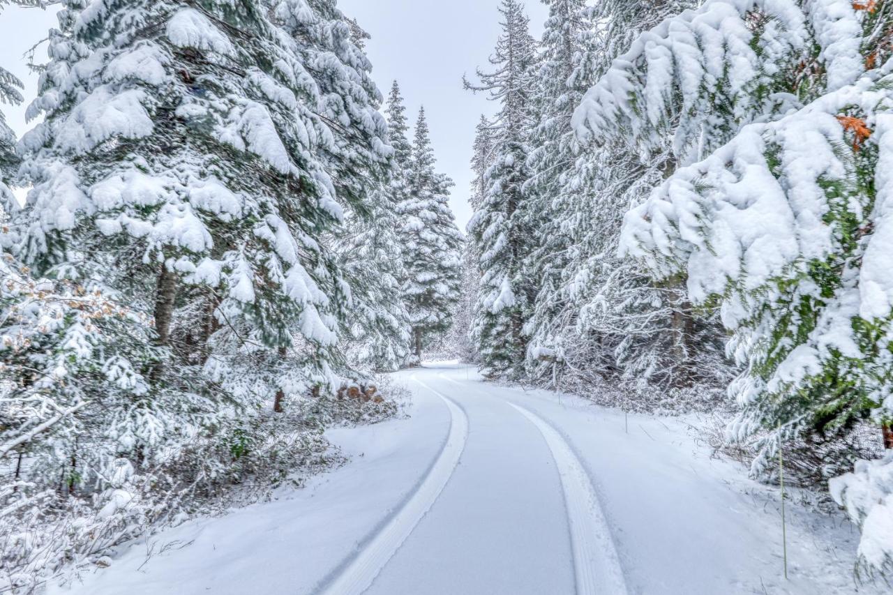 Elk Tracks Lodge Pine Glen Dış mekan fotoğraf